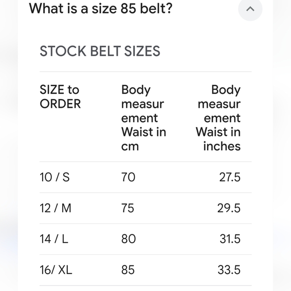 Zara snakeskin belt with gold hardware Size 85 made in Spain - Picture 11 of 11